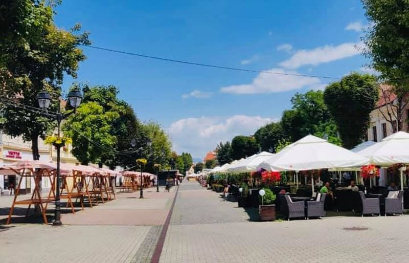 restricții